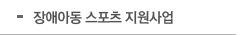 장애아동 스포츠 지원사업