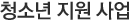 청소년 지원사업